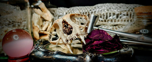 It Started With A Skull