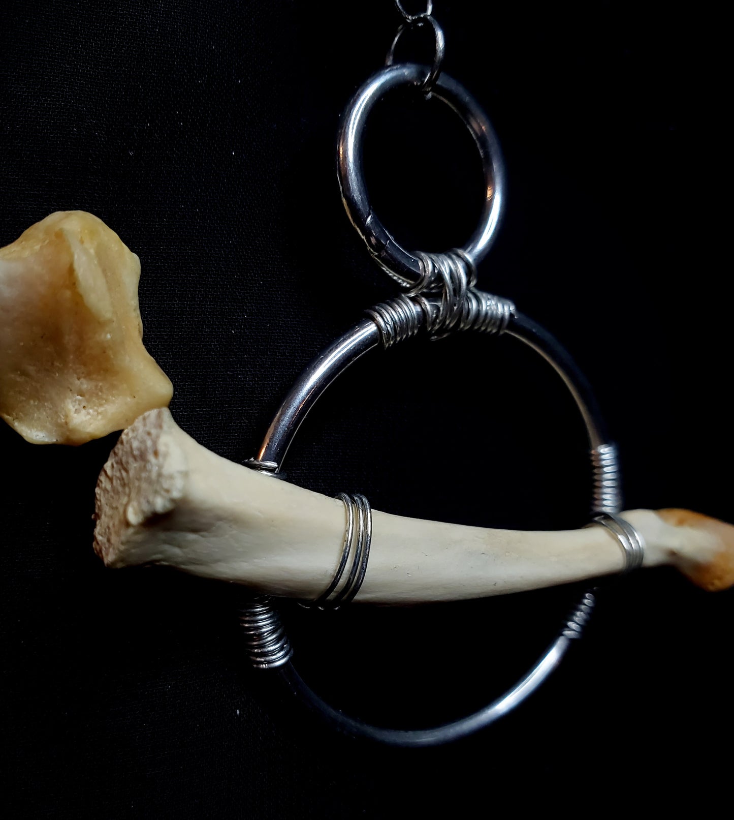 Apex Fragments: Bobcat Bone Earrings