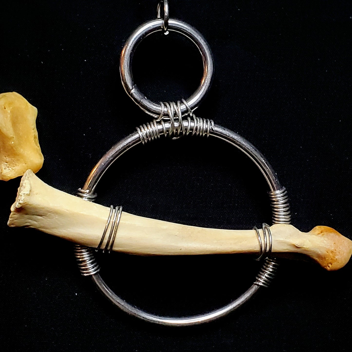 Apex Fragments: Bobcat Bone Earrings