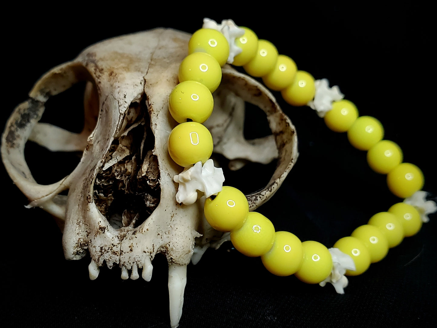 Sunbeam: Glass Bead & Bone Bracelet
