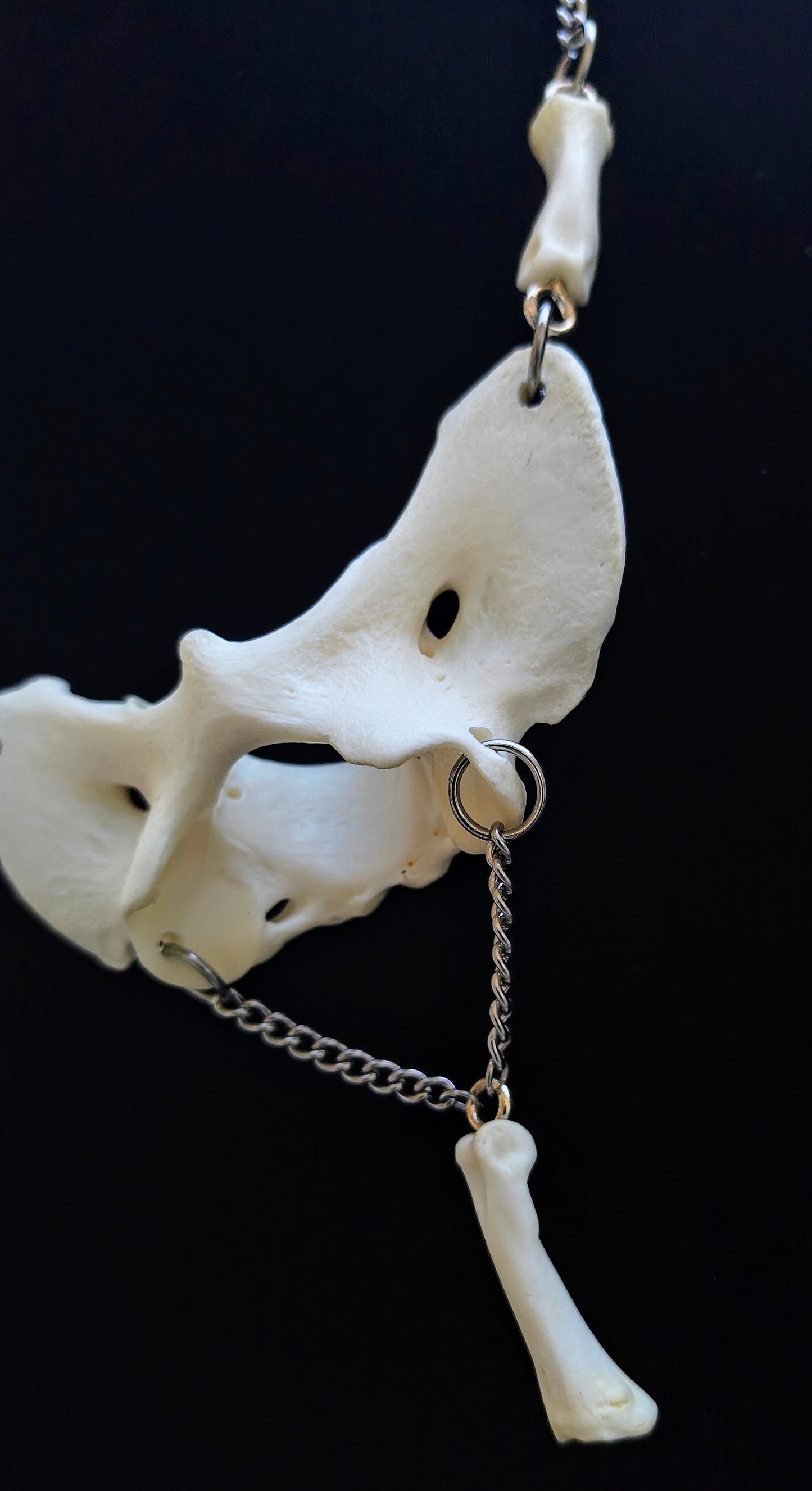 Coyote Spirit Bone Necklace