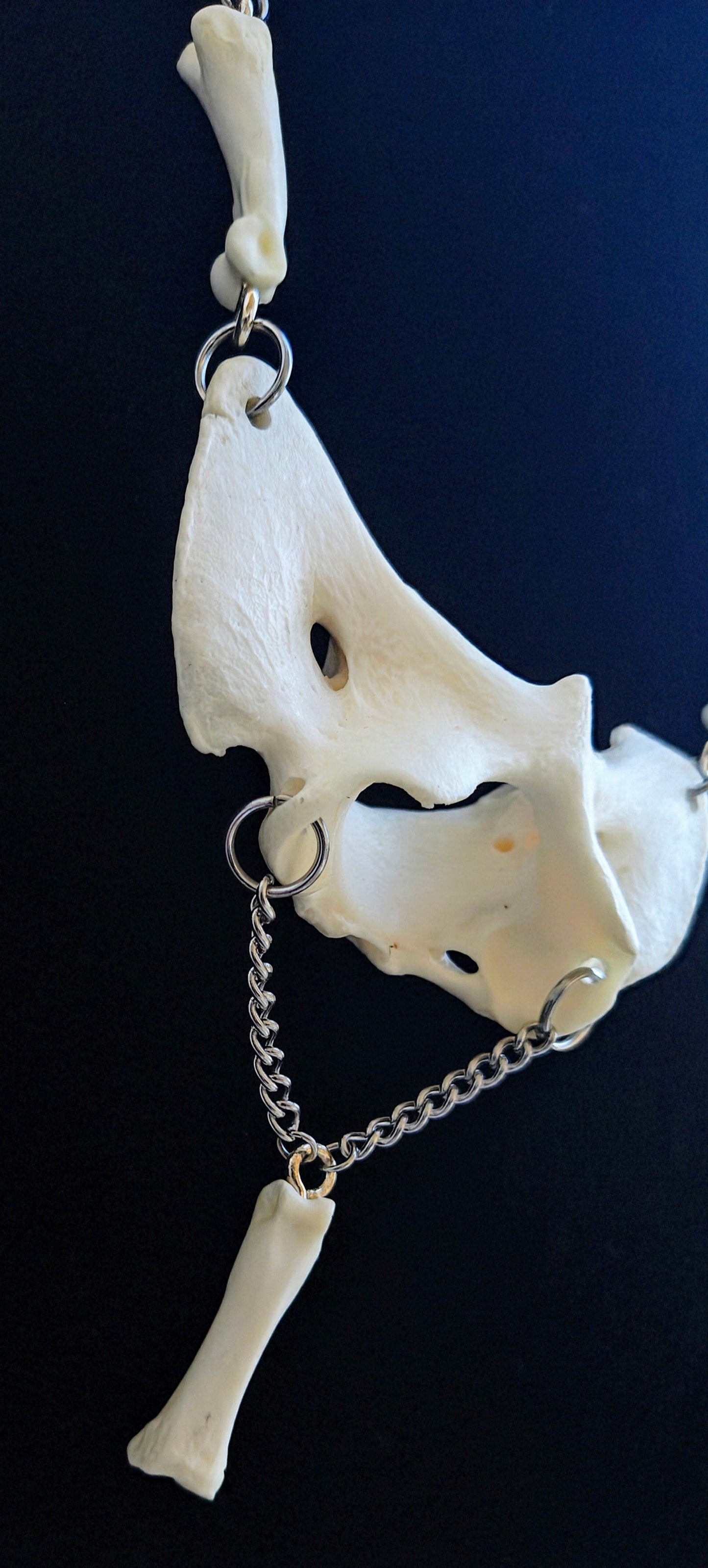 Coyote Spirit Bone Necklace