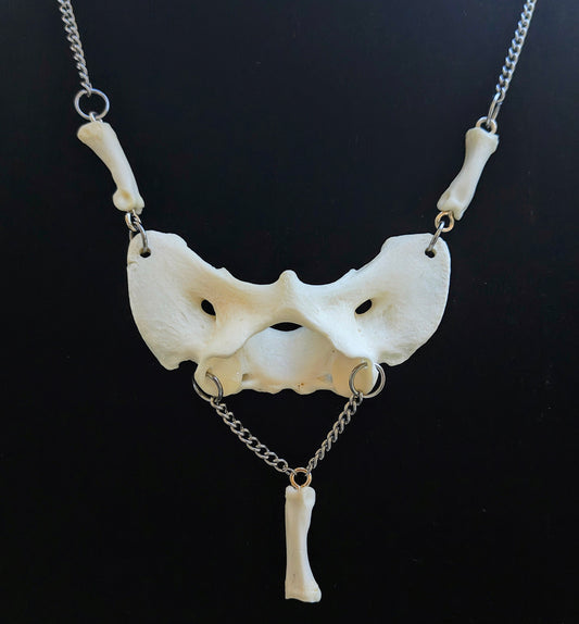 Coyote Spirit Bone Necklace