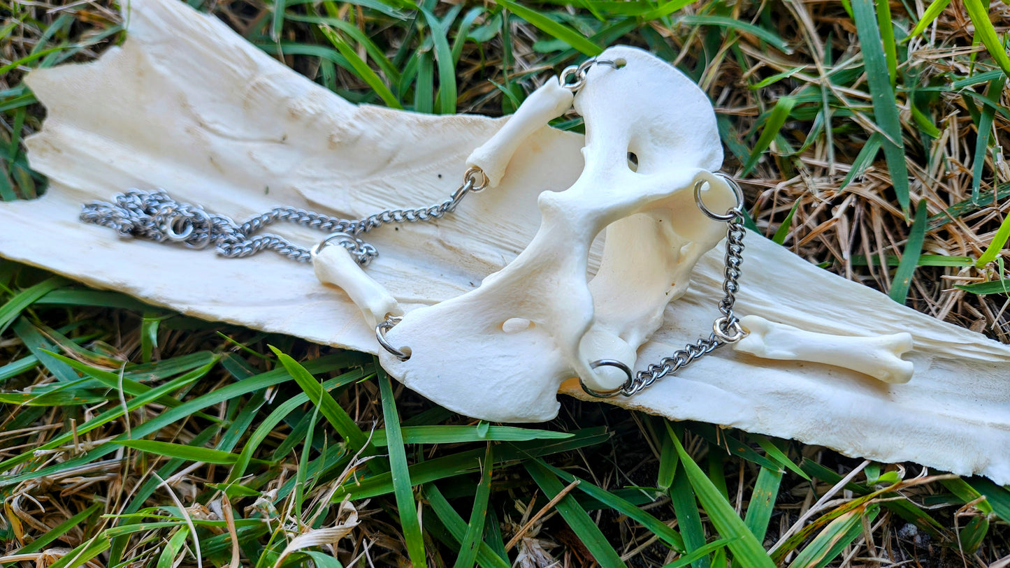Coyote Spirit Bone Necklace