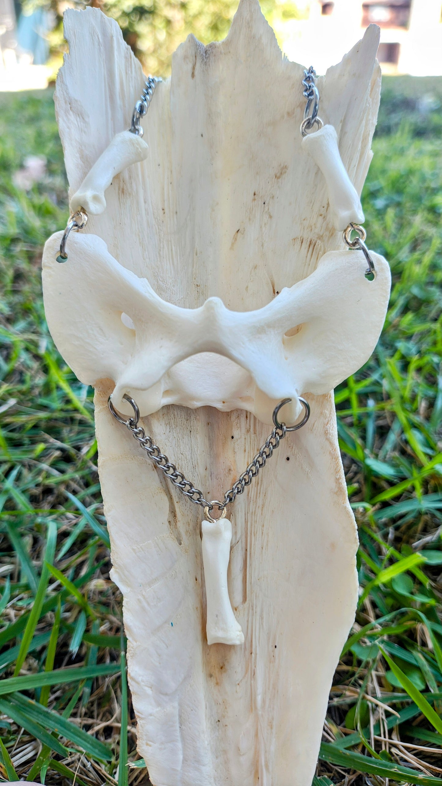 Coyote Spirit Bone Necklace