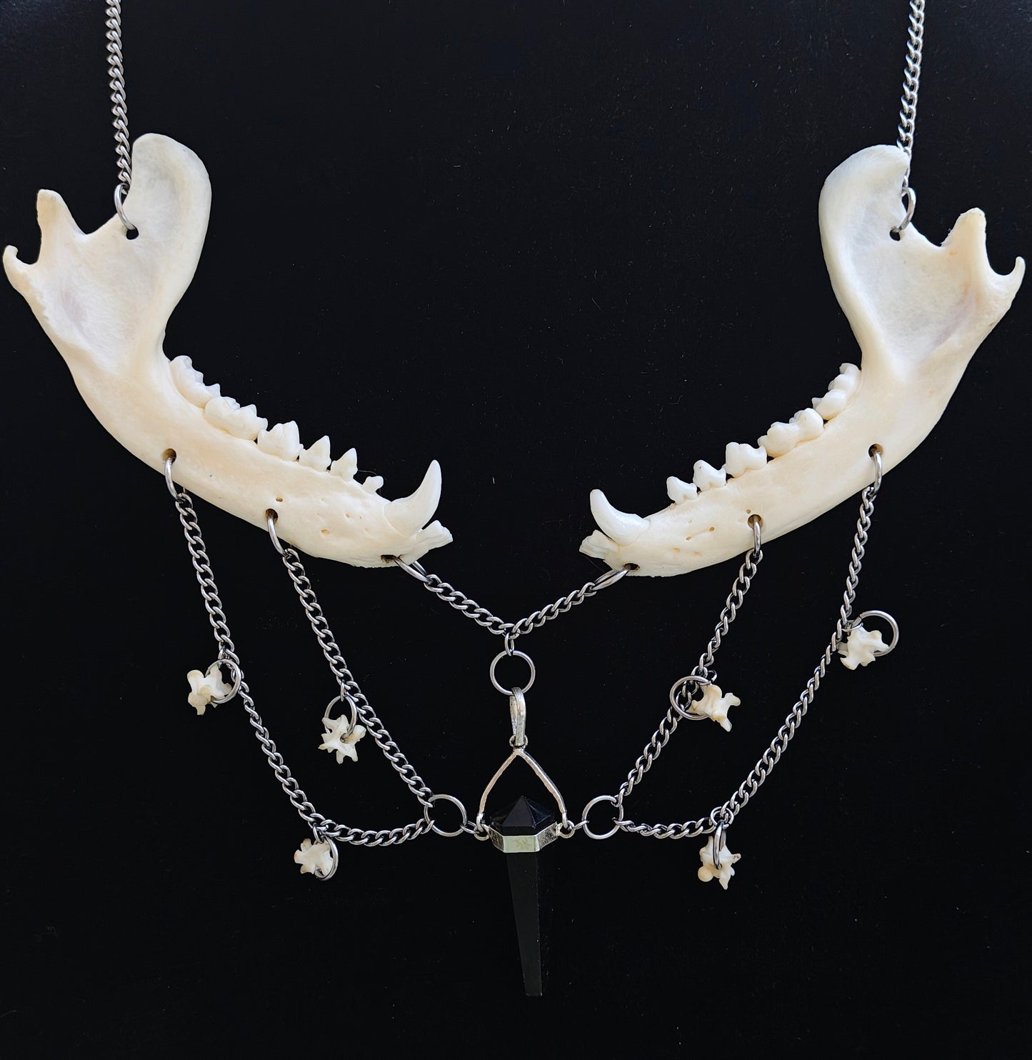 Black Onyx Raccoon Jaw Necklace