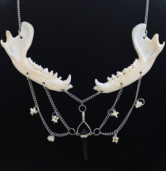 Black Onyx Raccoon Jaw Necklace