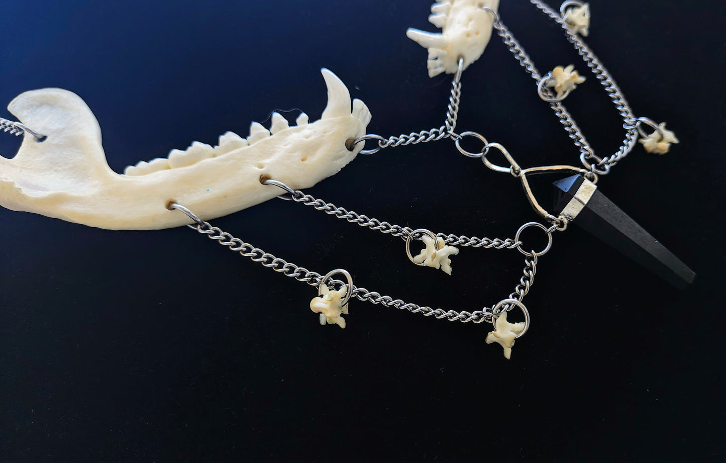 Black Onyx Raccoon Jaw Necklace