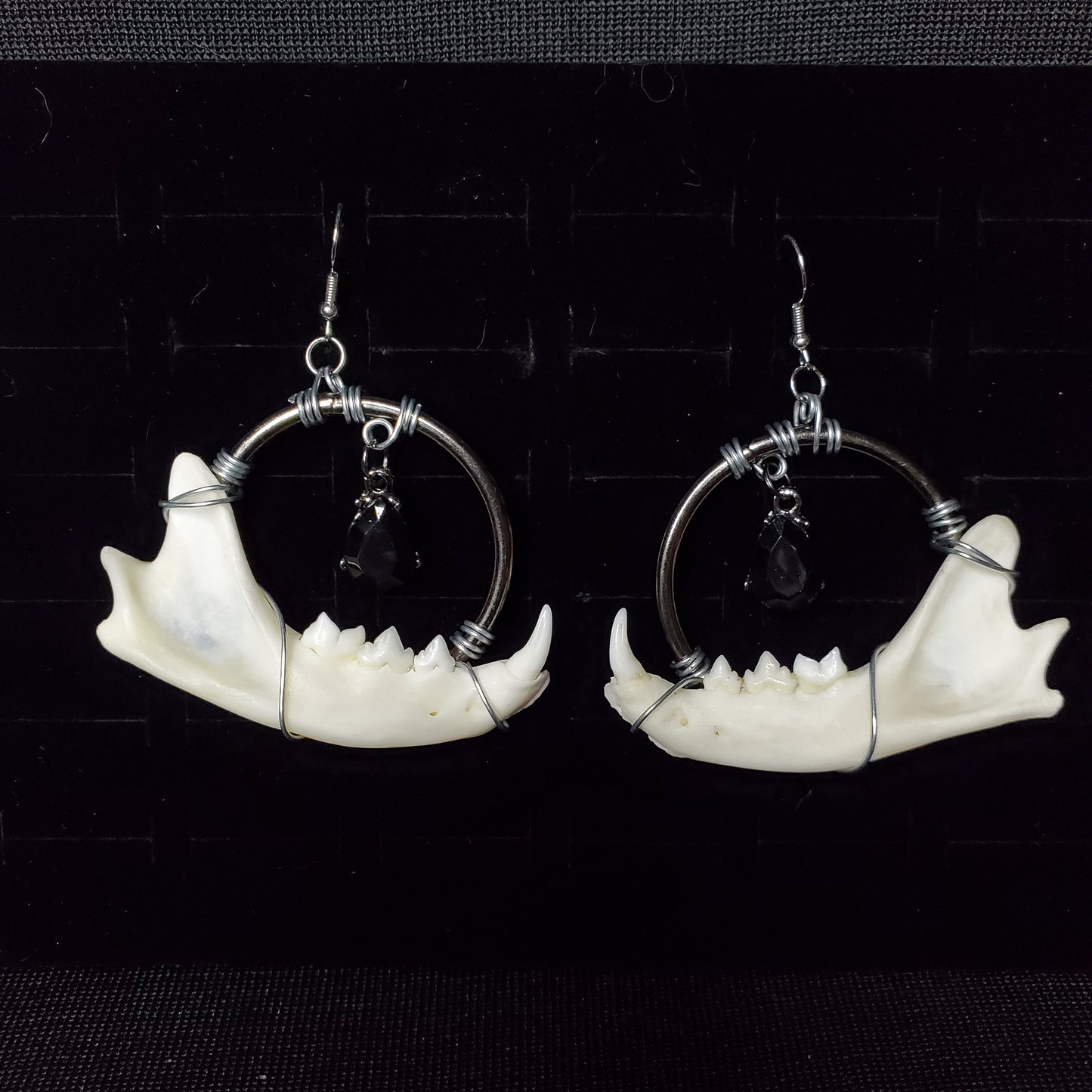 Midnight Mandible Earrings