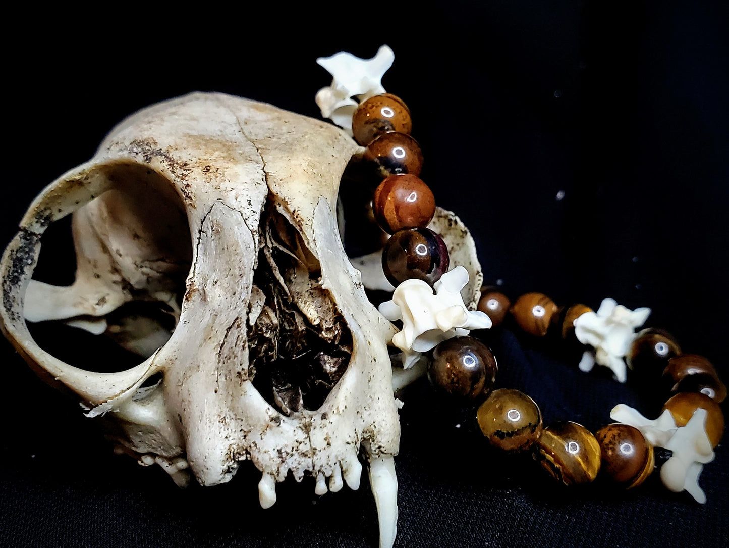 Primal Gaze: Tigers Eye & Bone Bracelet
