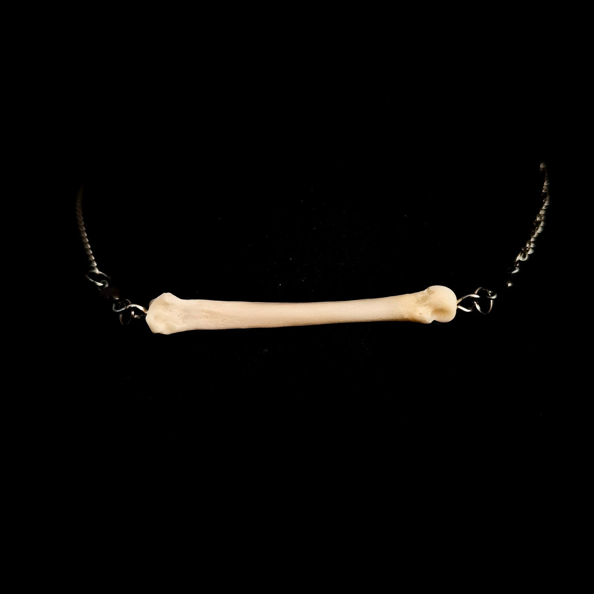 Silver Obsidian Coyote Foot Bone Choker
