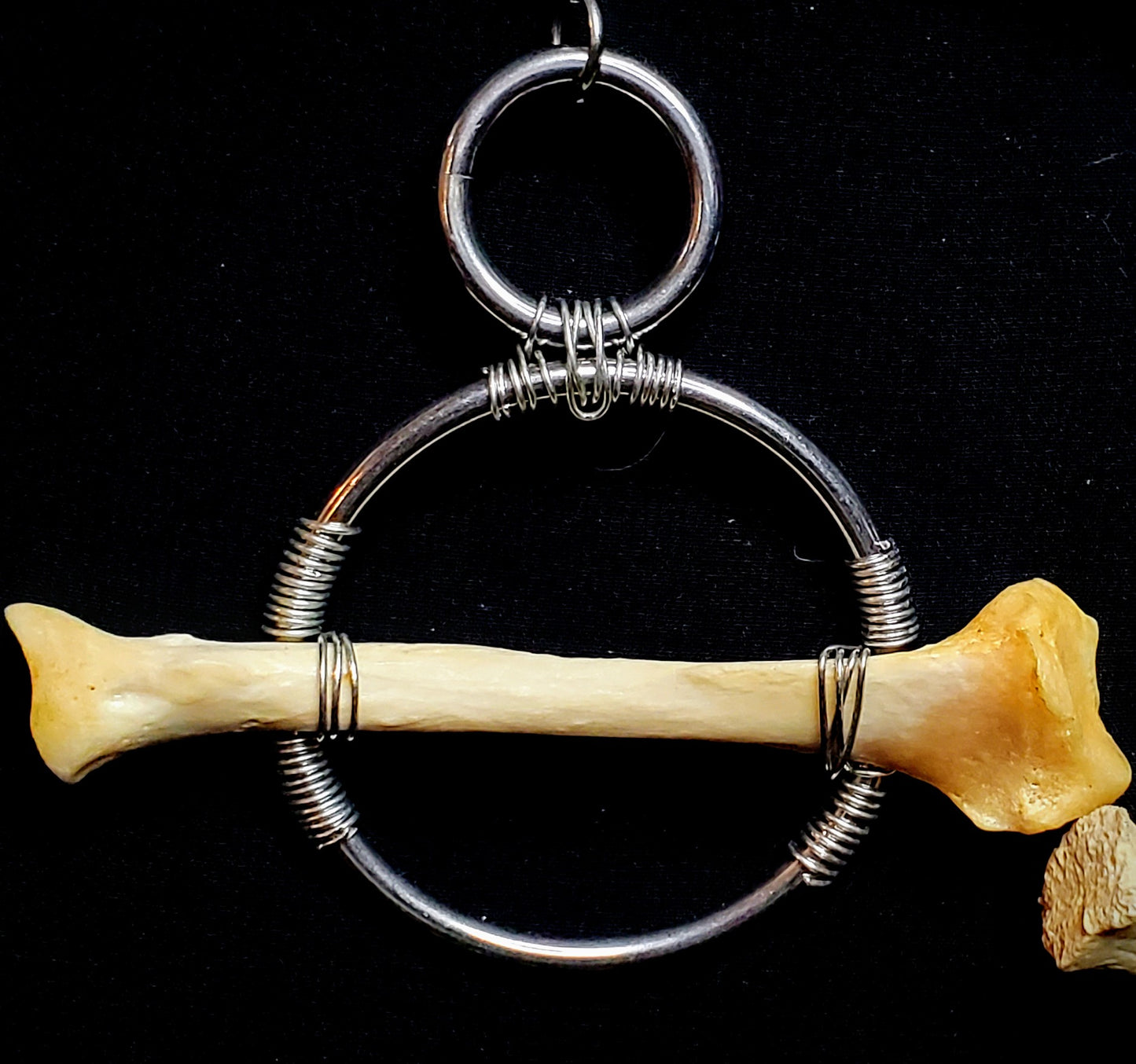 Apex Fragments: Bobcat Bone Earrings