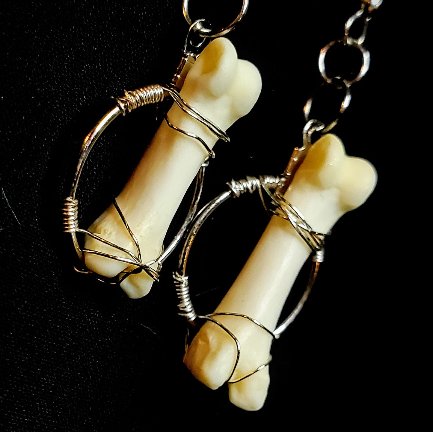 Bound Spirit: Coyote Toe Bone Earrings