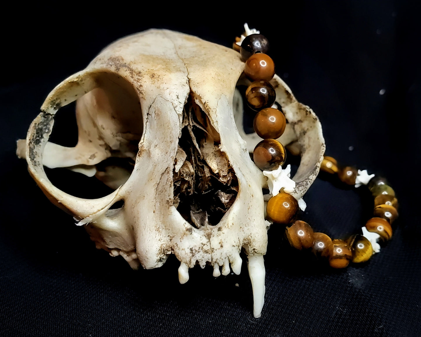 Primal Gaze: Tigers Eye & Bone Bracelet
