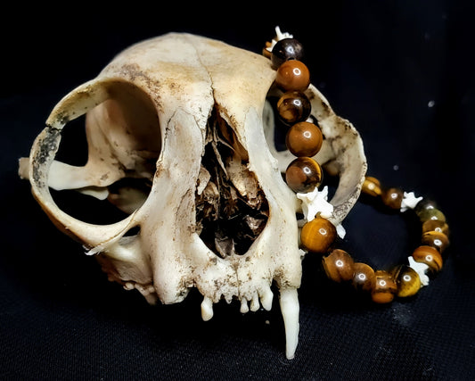 Primal Gaze: Tigers Eye & Bone Bracelet