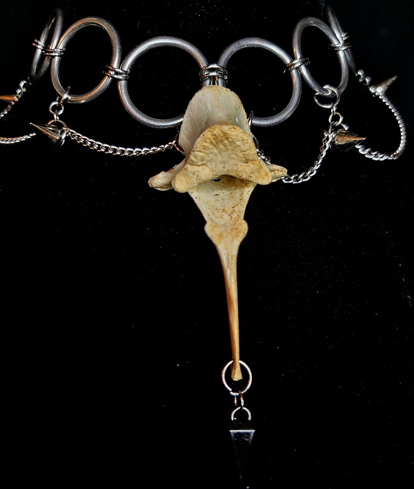Untamed Edge: Deer Vertebrae Choker