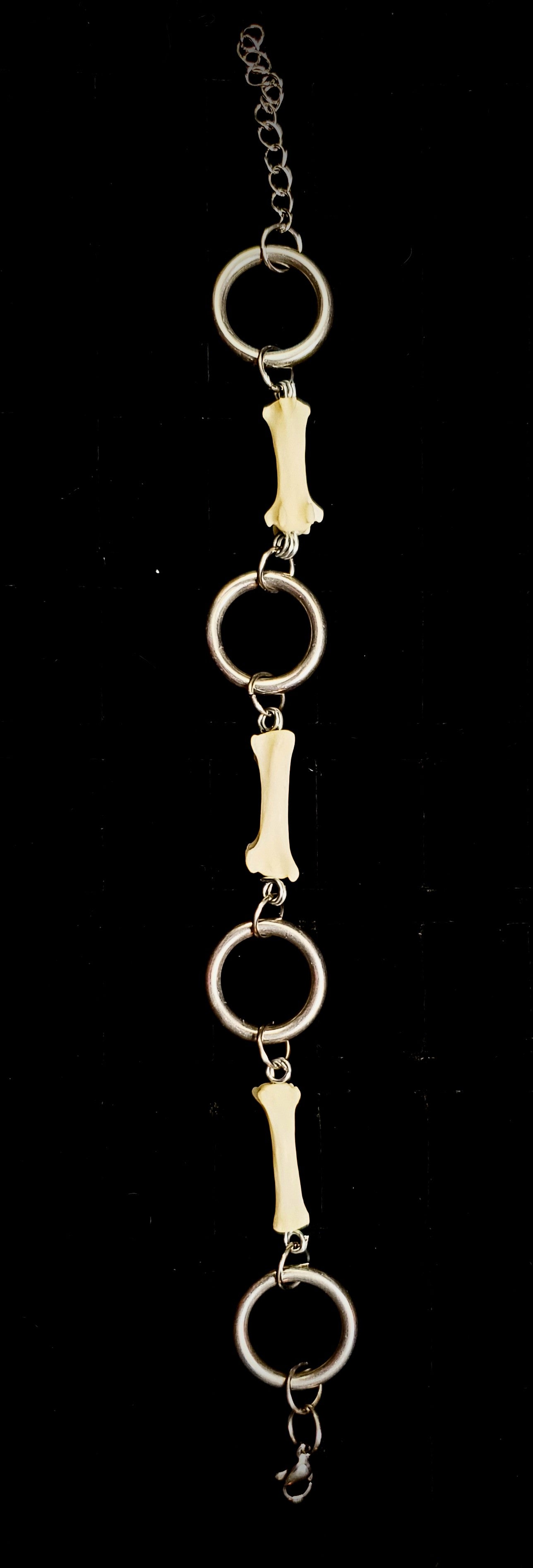 Fox Tail Bone & Stainless Steel Ring Bracelet