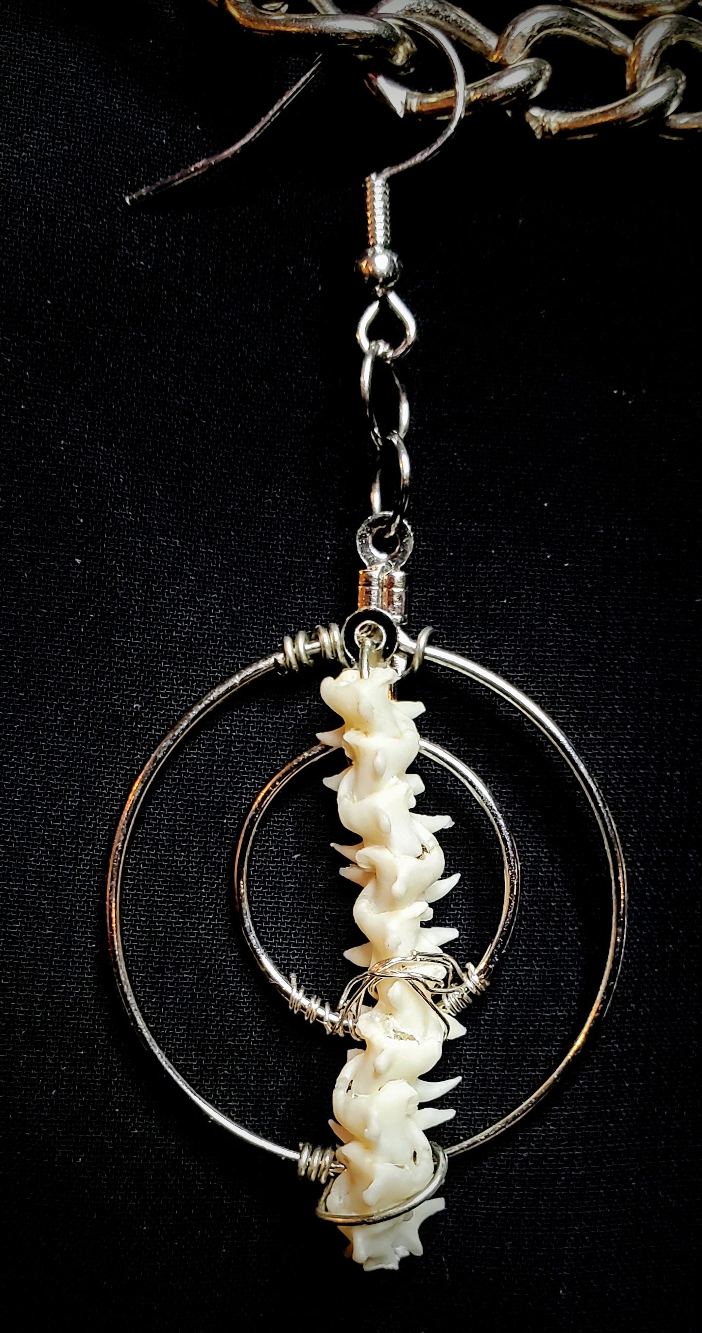 Coiled Echoes: Boa Vertebrae Earrings