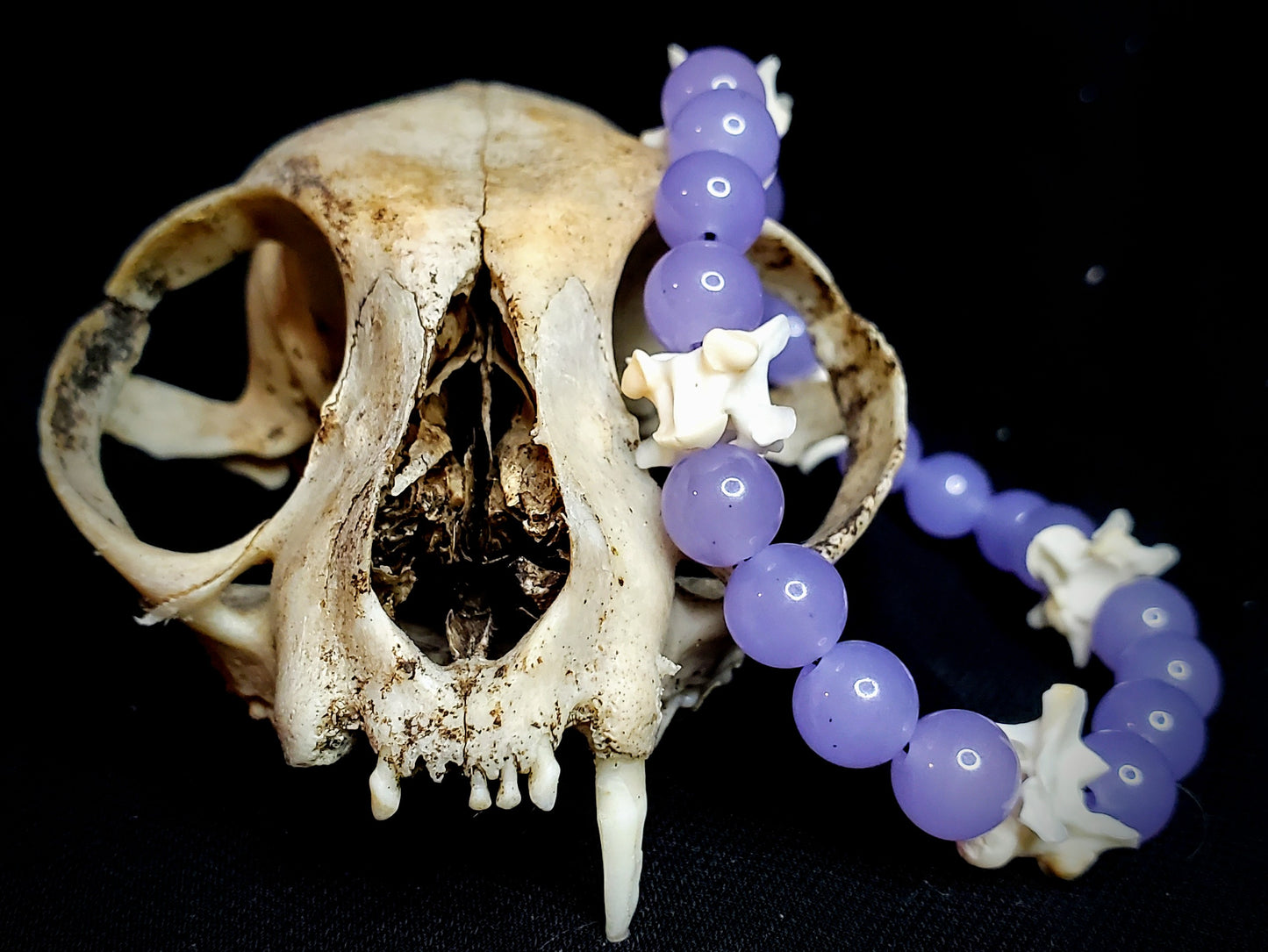 Violet Veil: Dyed Jade & Bone Bracelet