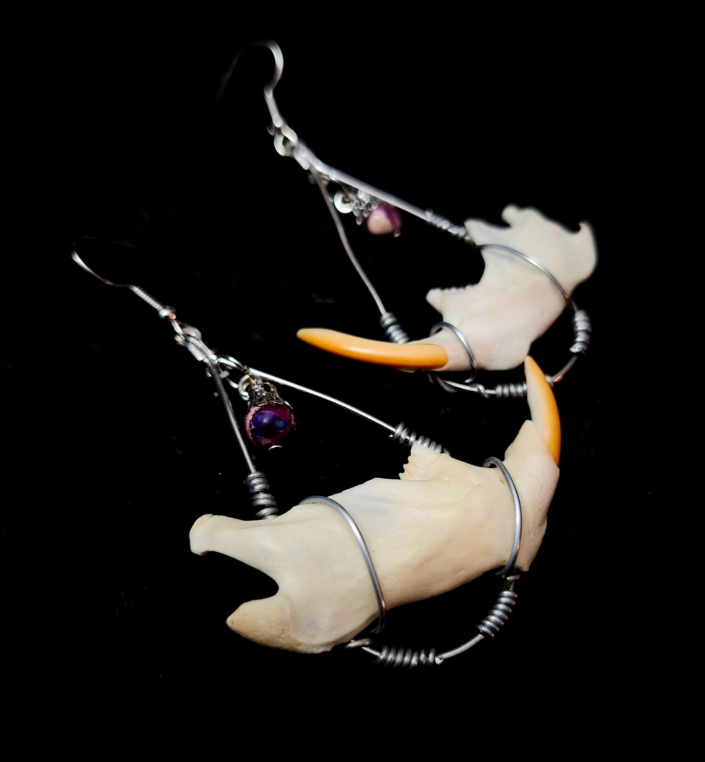 Muskrat Mandible Earrings
