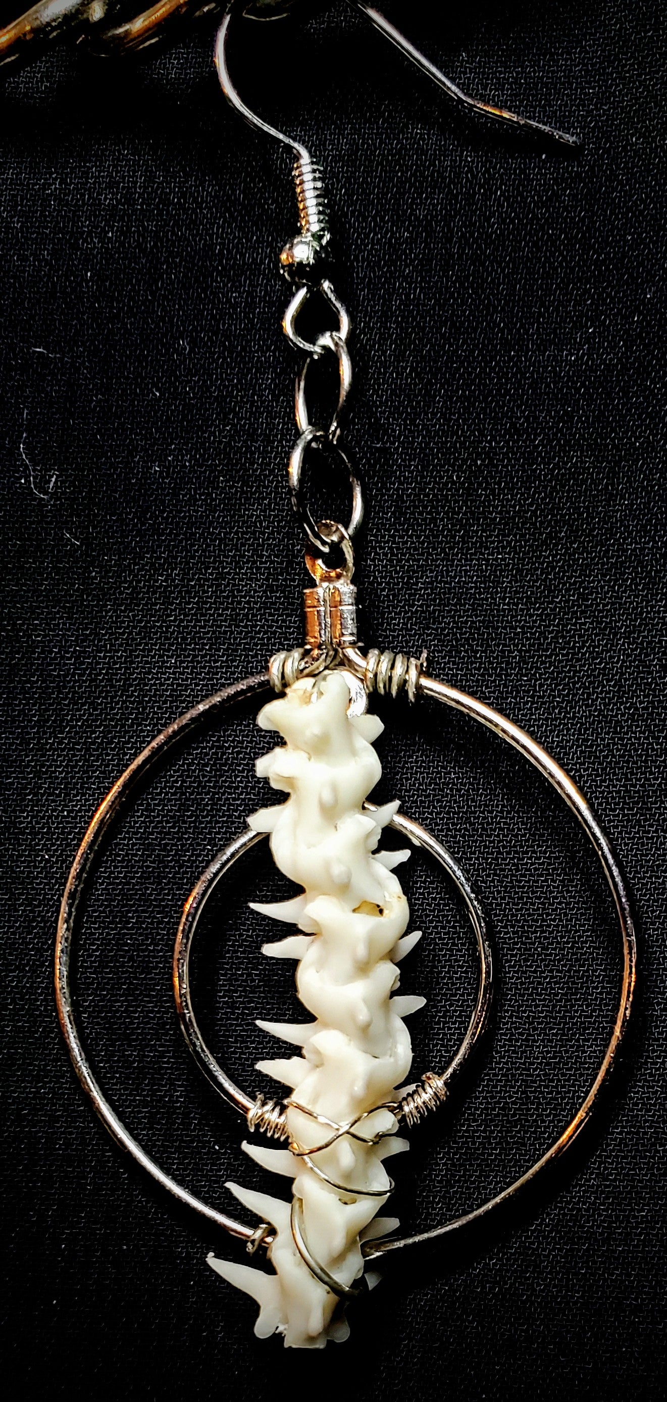 Coiled Echoes: Boa Vertebrae Earrings