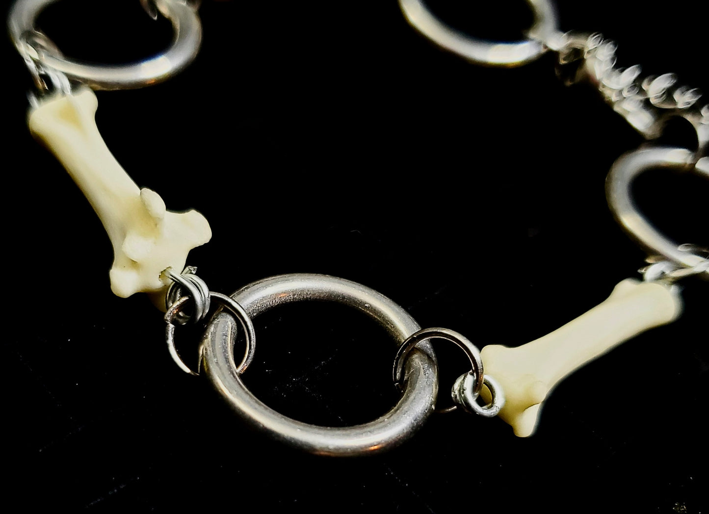 Fox Tail Bone & Stainless Steel Ring Bracelet
