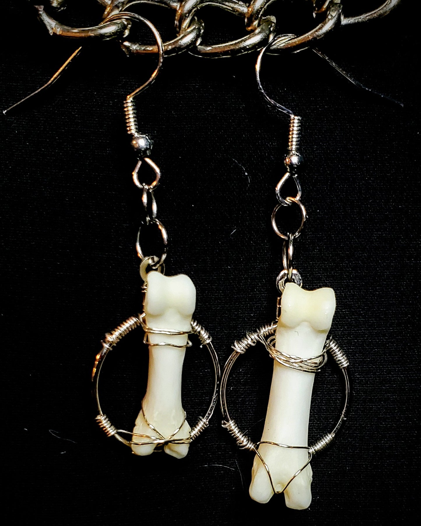 Bound Spirit: Coyote Toe Bone Earrings