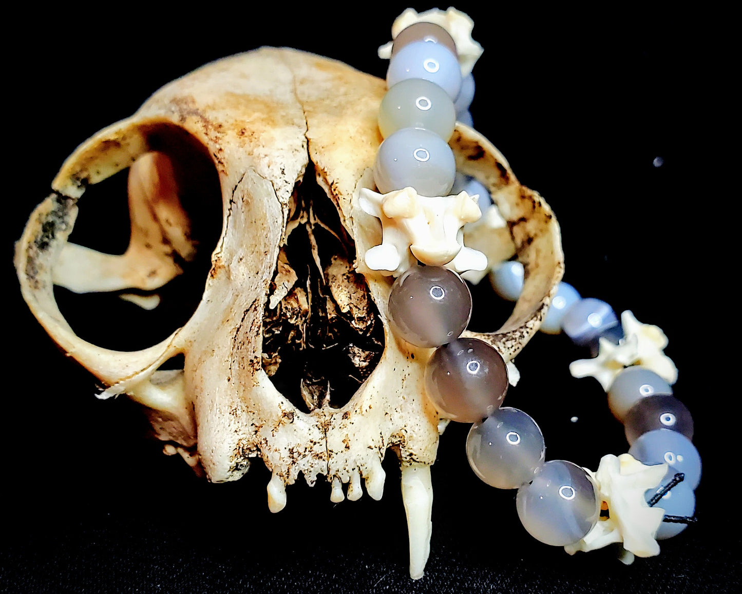Pebble and Spine: Agate & Bone Bracelet