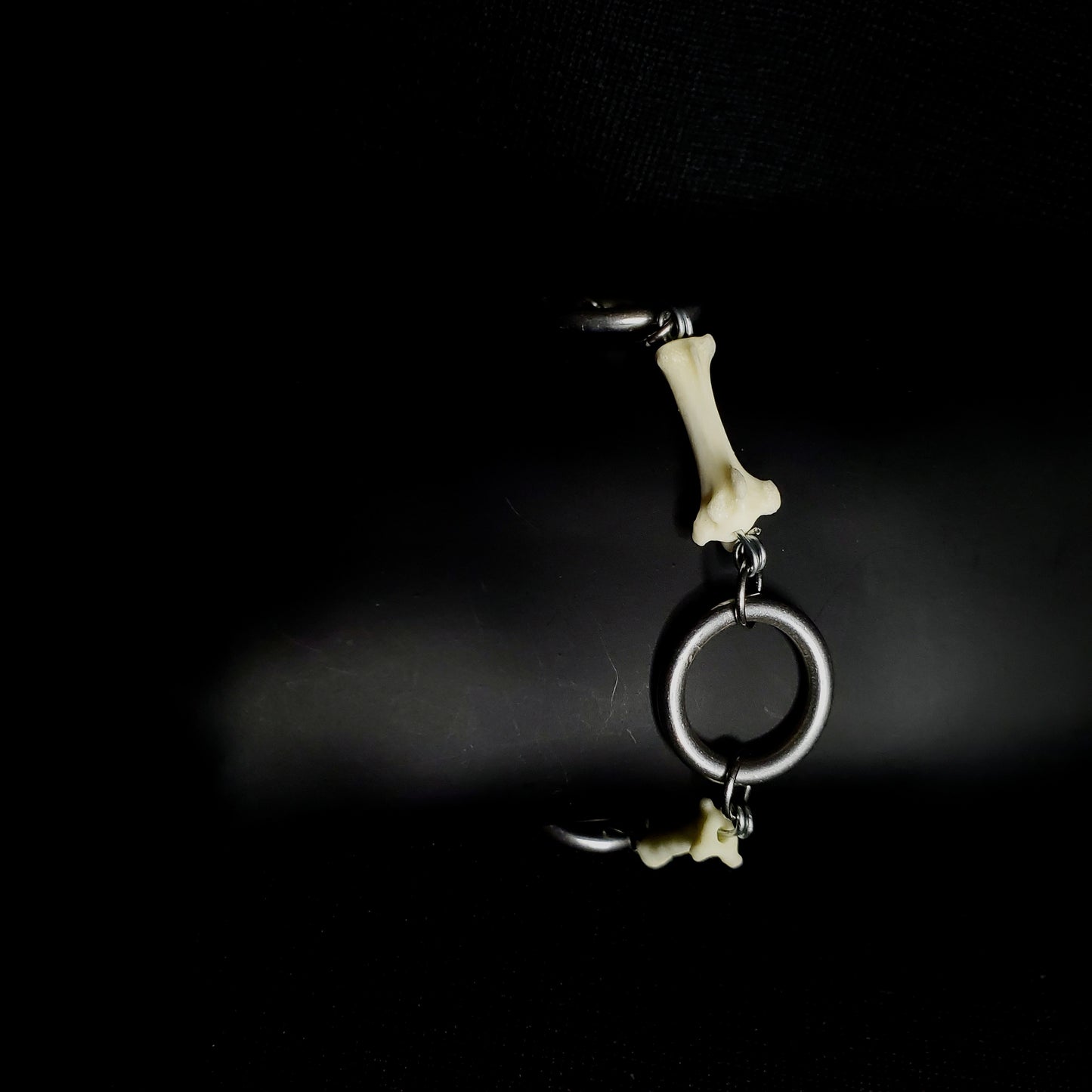 Fox Tail Bone & Stainless Steel Ring Bracelet
