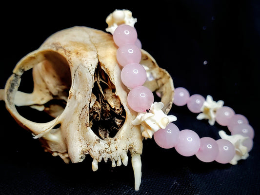 Aphrodite's Spine: Rose Quartz & Bone Bracelet