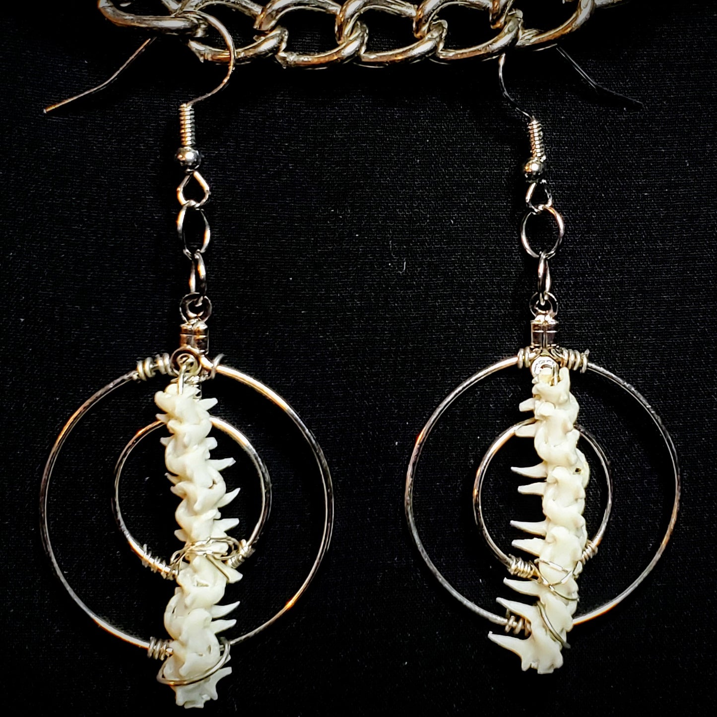 Coiled Echoes: Boa Vertebrae Earrings