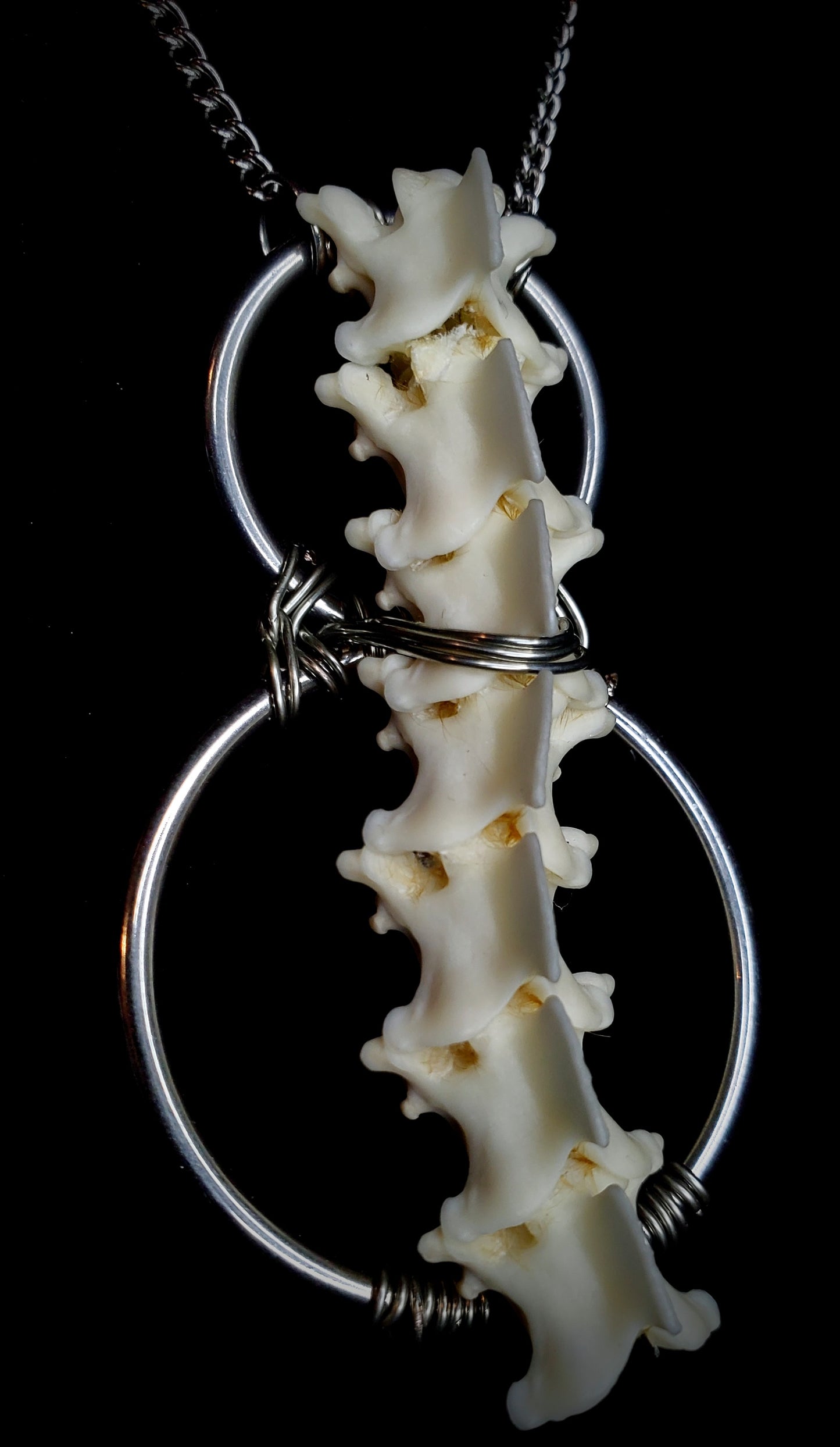 Steel Serenity Boa Vertebrae Pendant