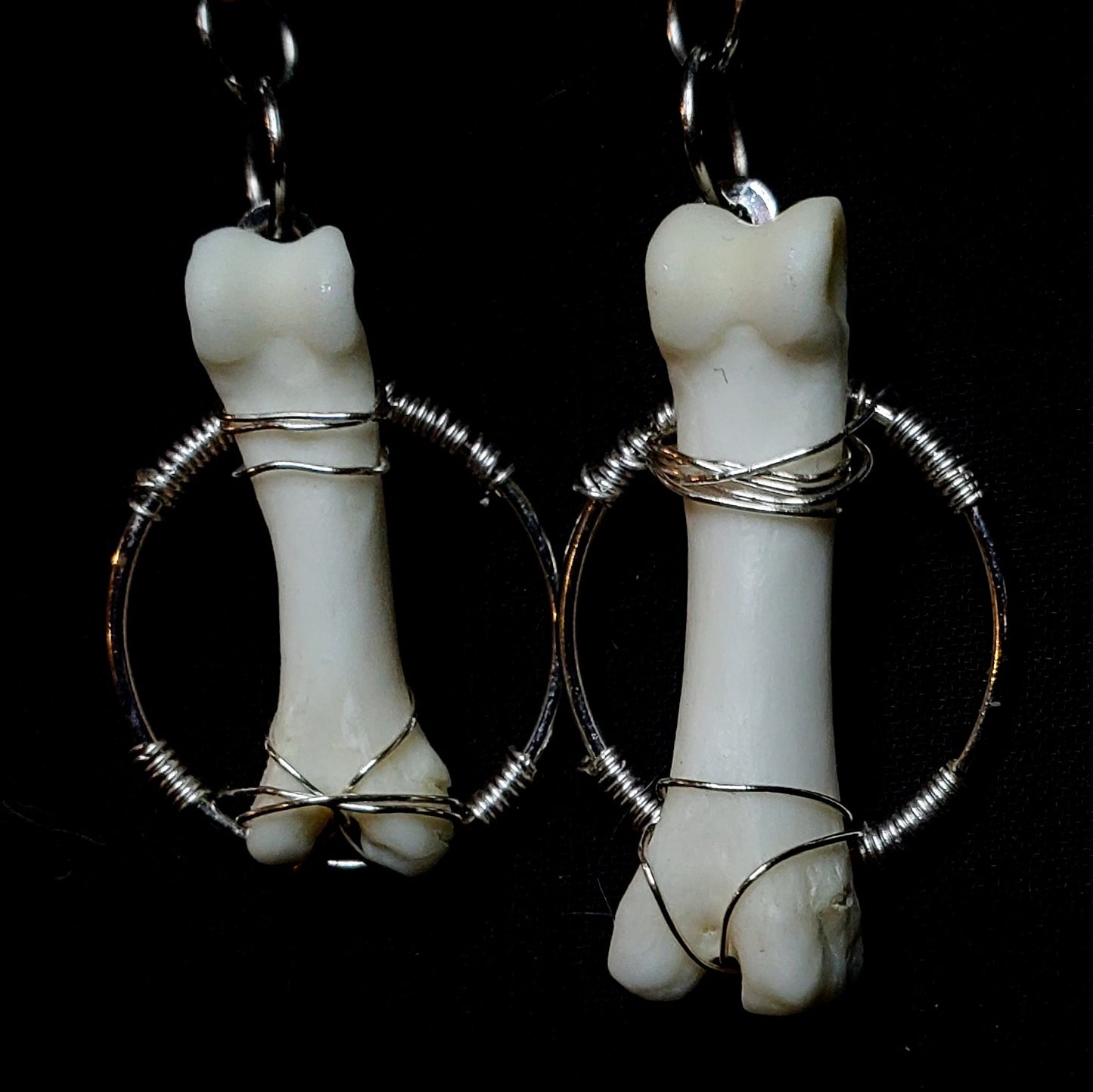 Bound Spirit: Coyote Toe Bone Earrings