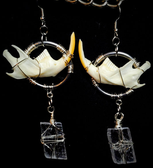 Shadow Scryer: Icelandic Spar & Muskrat Mandible Earrings