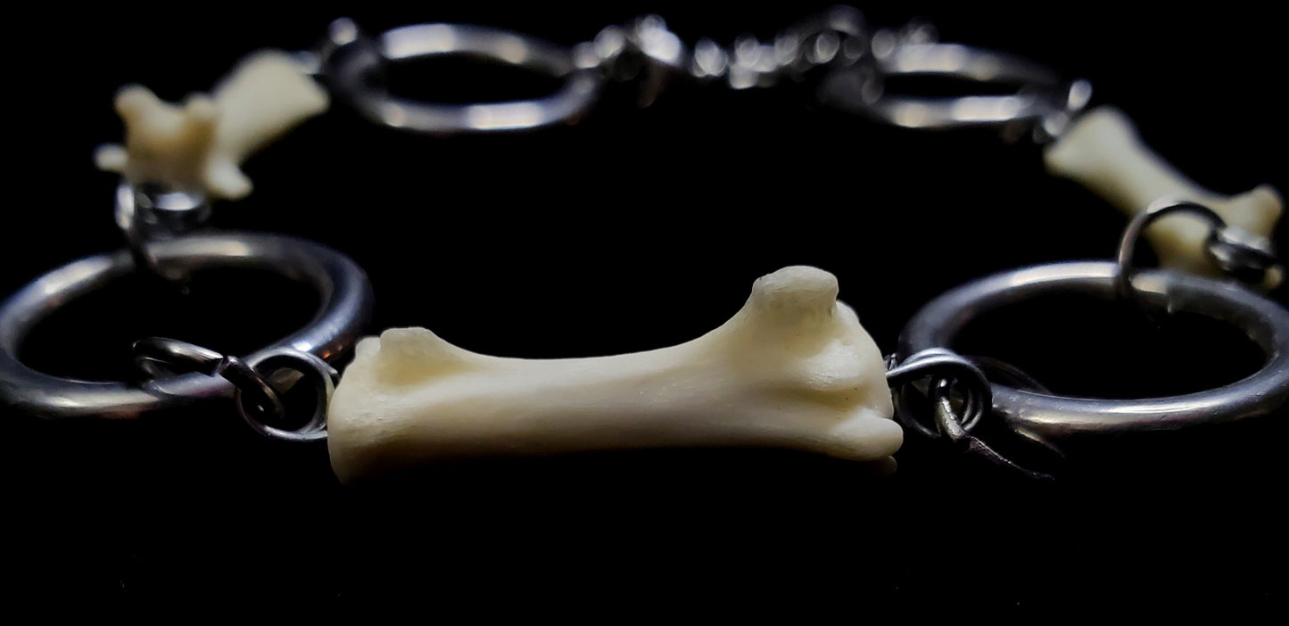 Fox Tail Bone & Stainless Steel Ring Bracelet