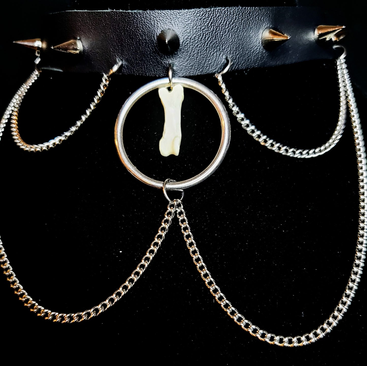 Wild Instinct Coyote Toe Bone Choker