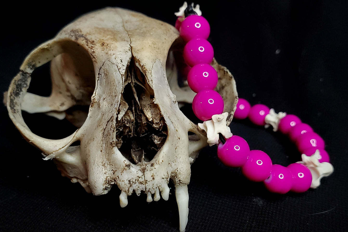 Pink Venom: Glass Bead & Bone Bracelet