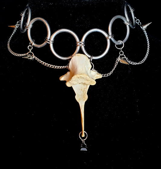 Untamed Edge: Deer Vertebrae Choker
