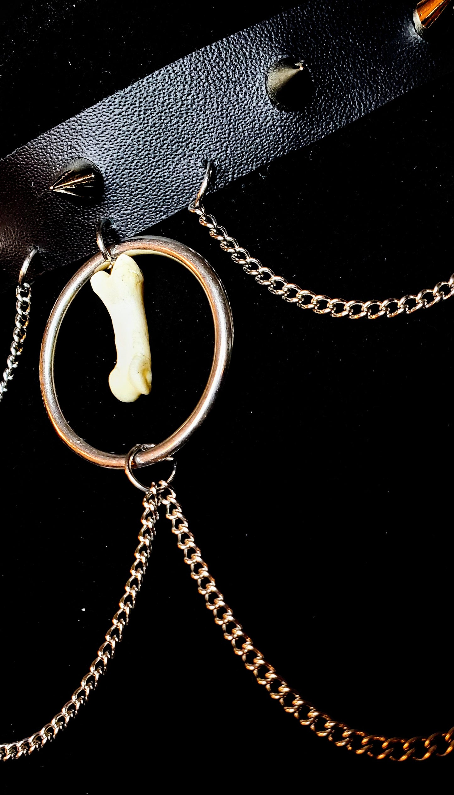Wild Instinct Coyote Toe Bone Choker