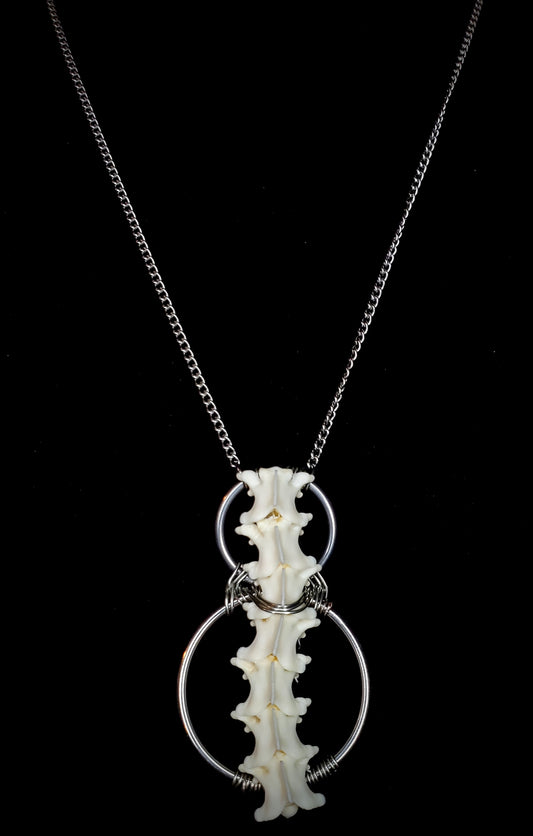 Steel Serenity Boa Vertebrae Pendant