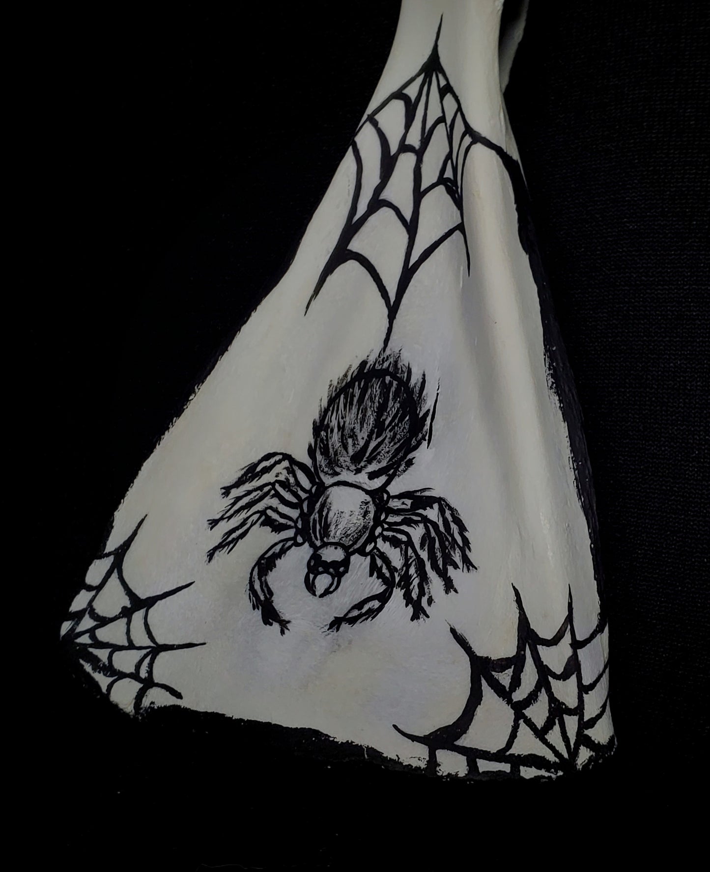 Fuzzy Little Spider Scapula Painting