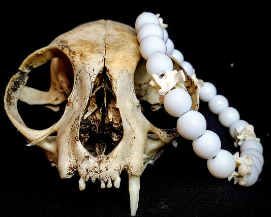 Silent Apparition: Glass Bead & Bone Bracelet