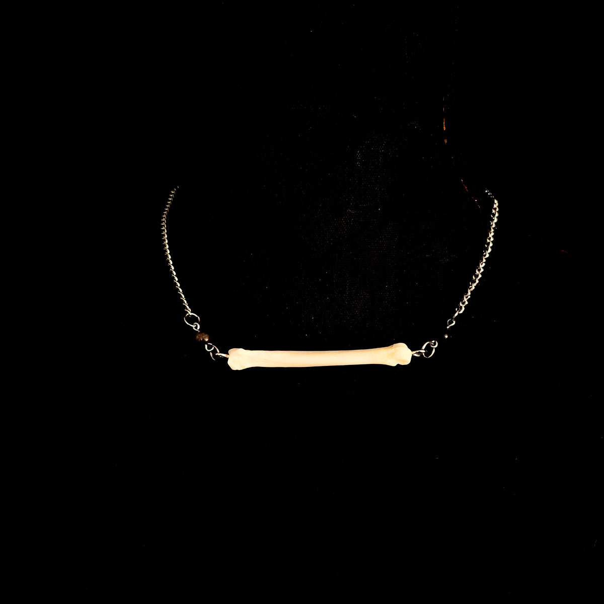 Silver Obsidian Coyote Foot Bone Choker