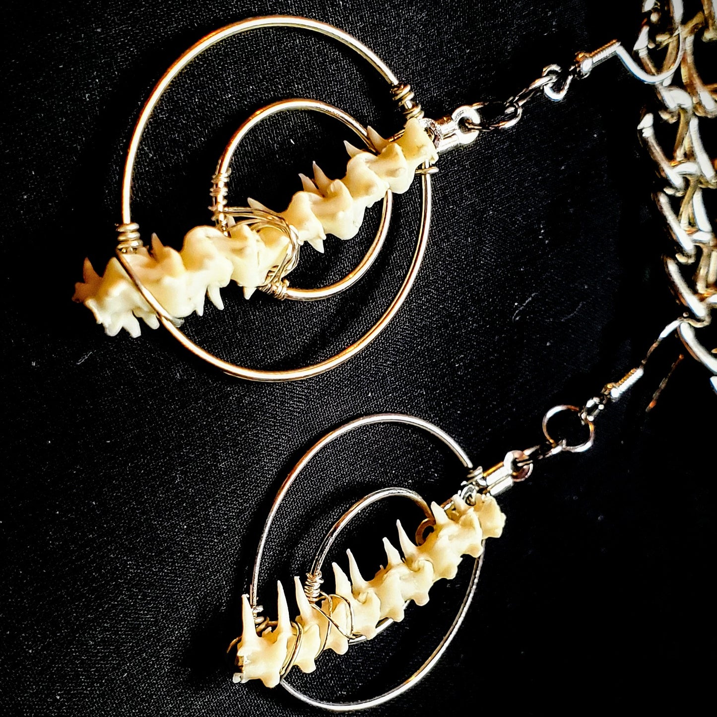 Coiled Echoes: Boa Vertebrae Earrings