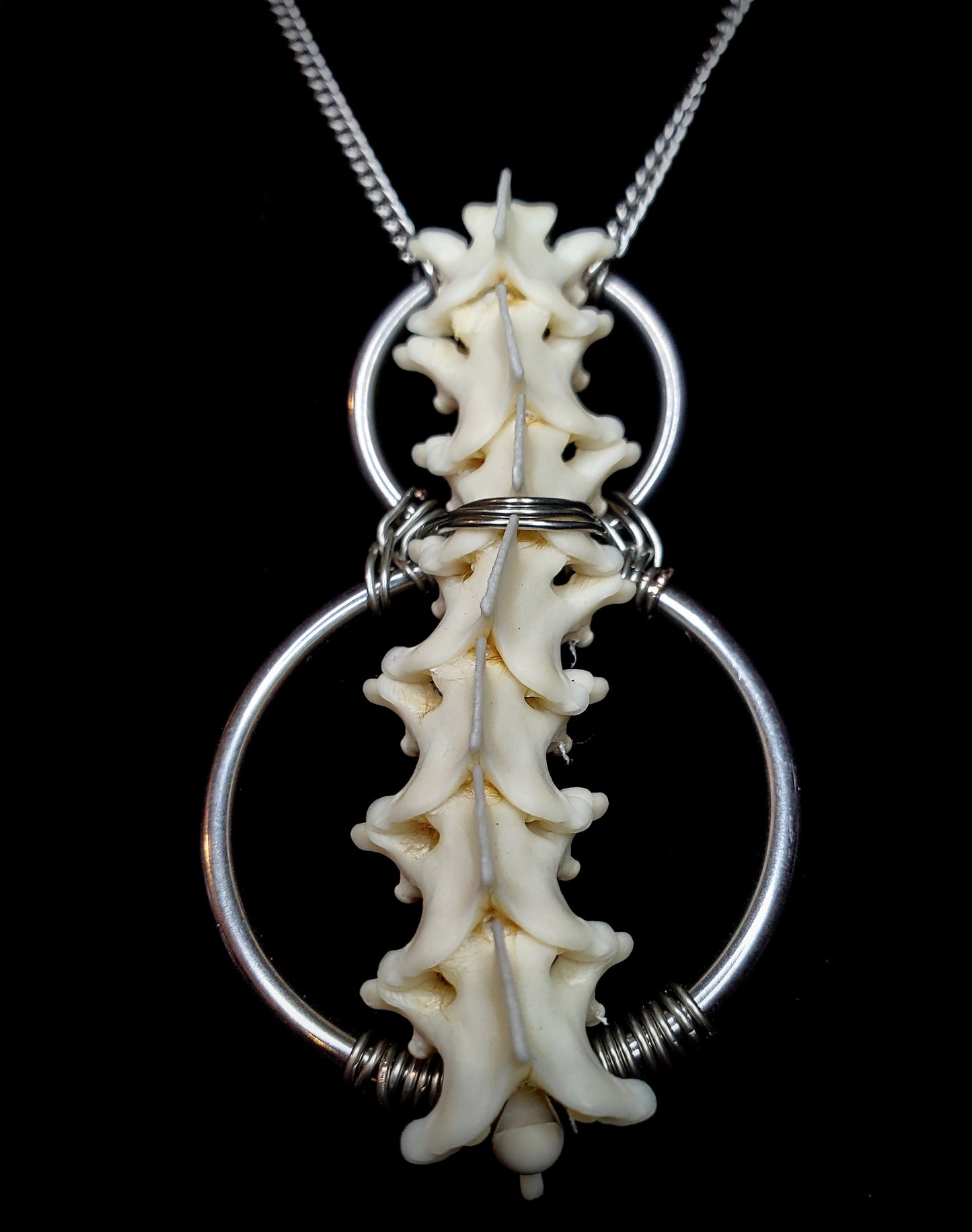 Steel Serenity Boa Vertebrae Pendant
