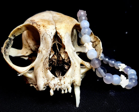 Pebble and Spine: Agate & Bone Bracelet