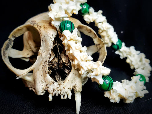 Serpant's Grove: Bone & Malechite Bracelet