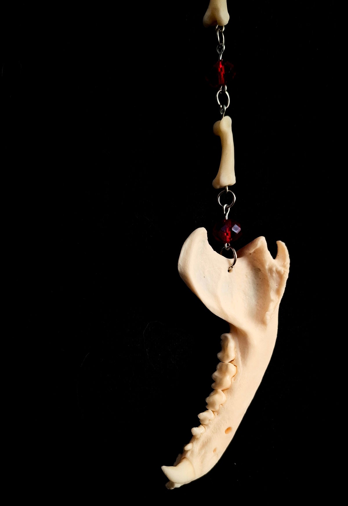 Coyote & Raccoon Bone Rosary Style Necklace