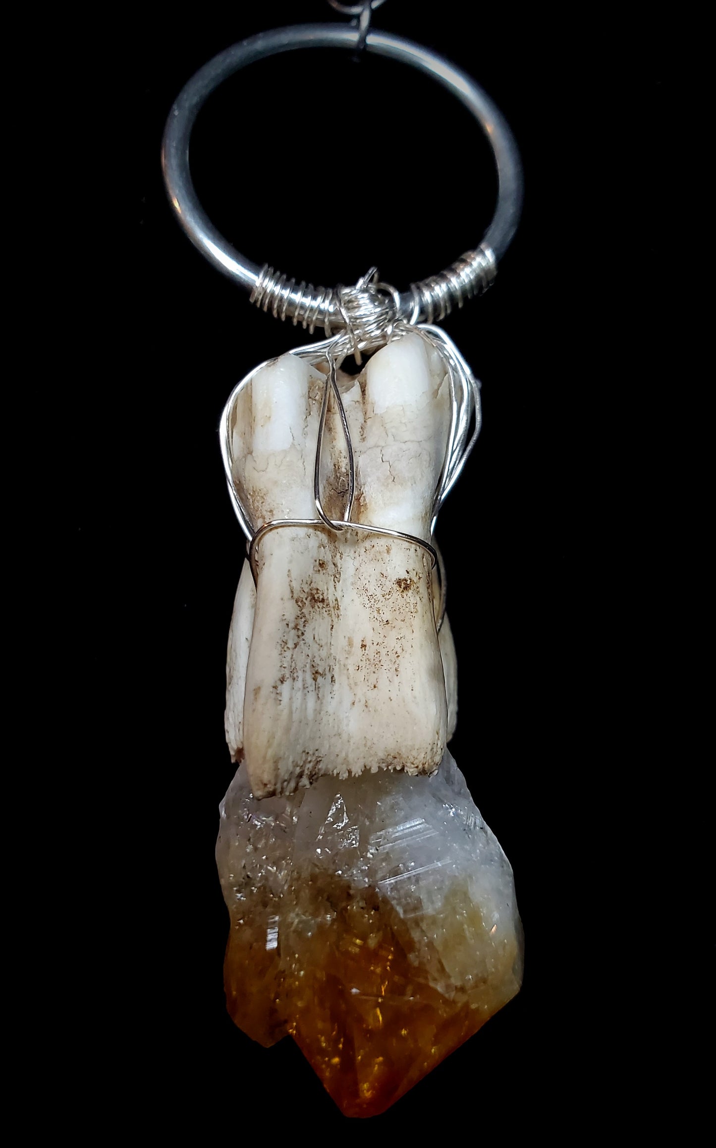 Primal Prosperity Citrine & Cow Tooth Pendant